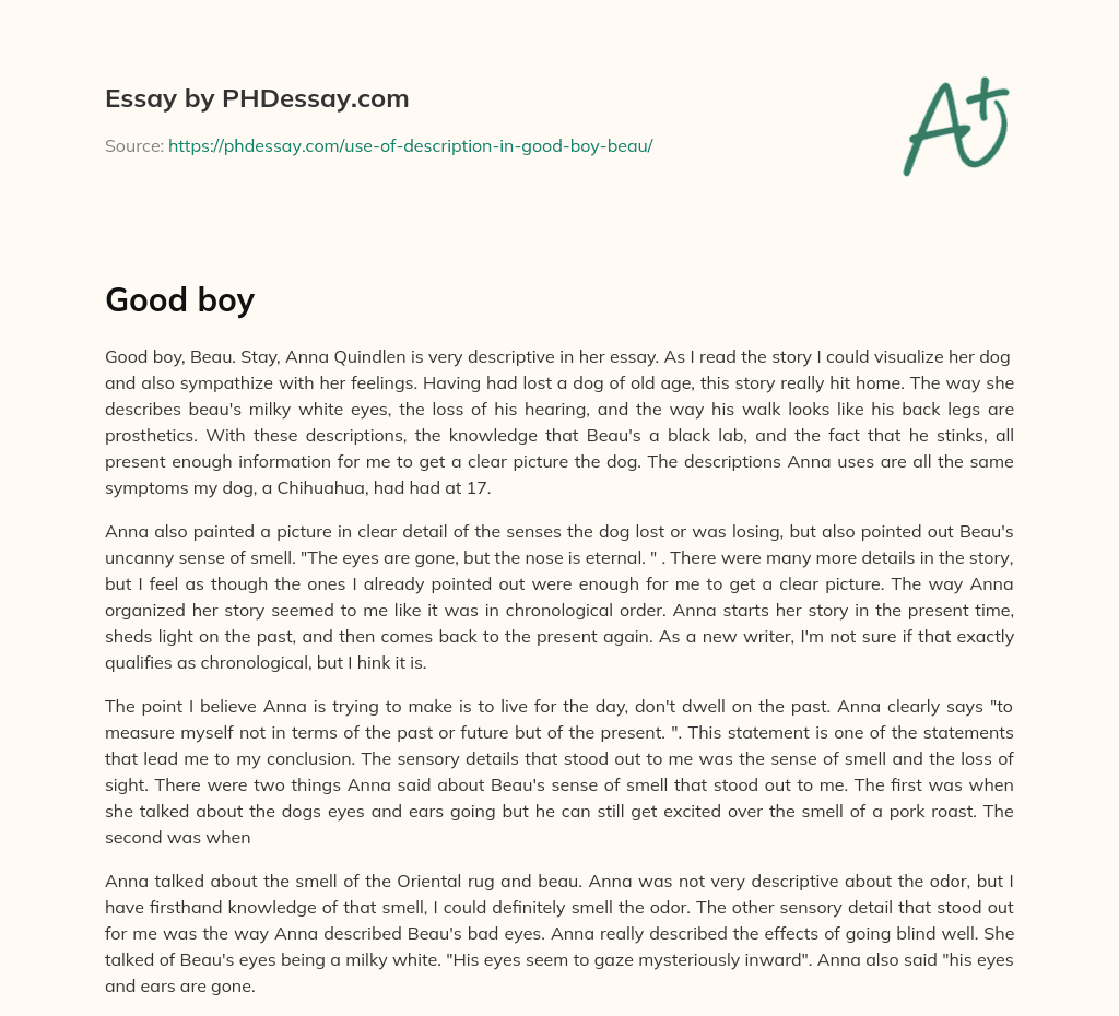 Living in the Present: A Descriptive Essay on a Dog essay