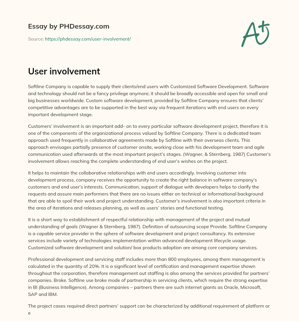 User involvement essay