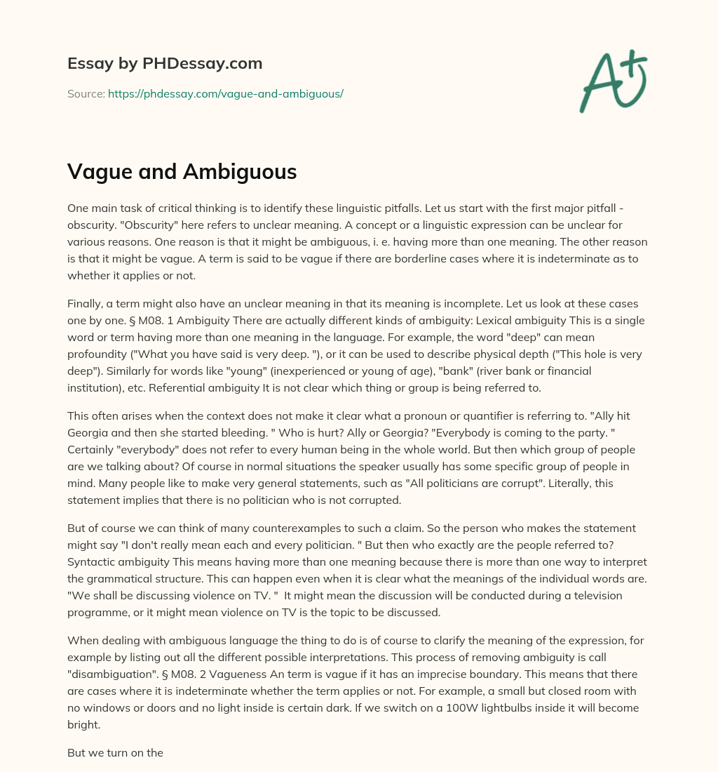 Vague and Ambiguous essay