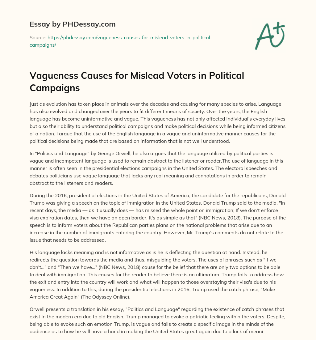 Vagueness Causes for Mislead Voters in Political Campaigns essay