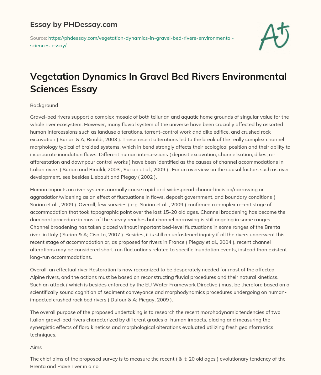 Vegetation Dynamics In Gravel Bed Rivers Environmental Sciences Essay essay