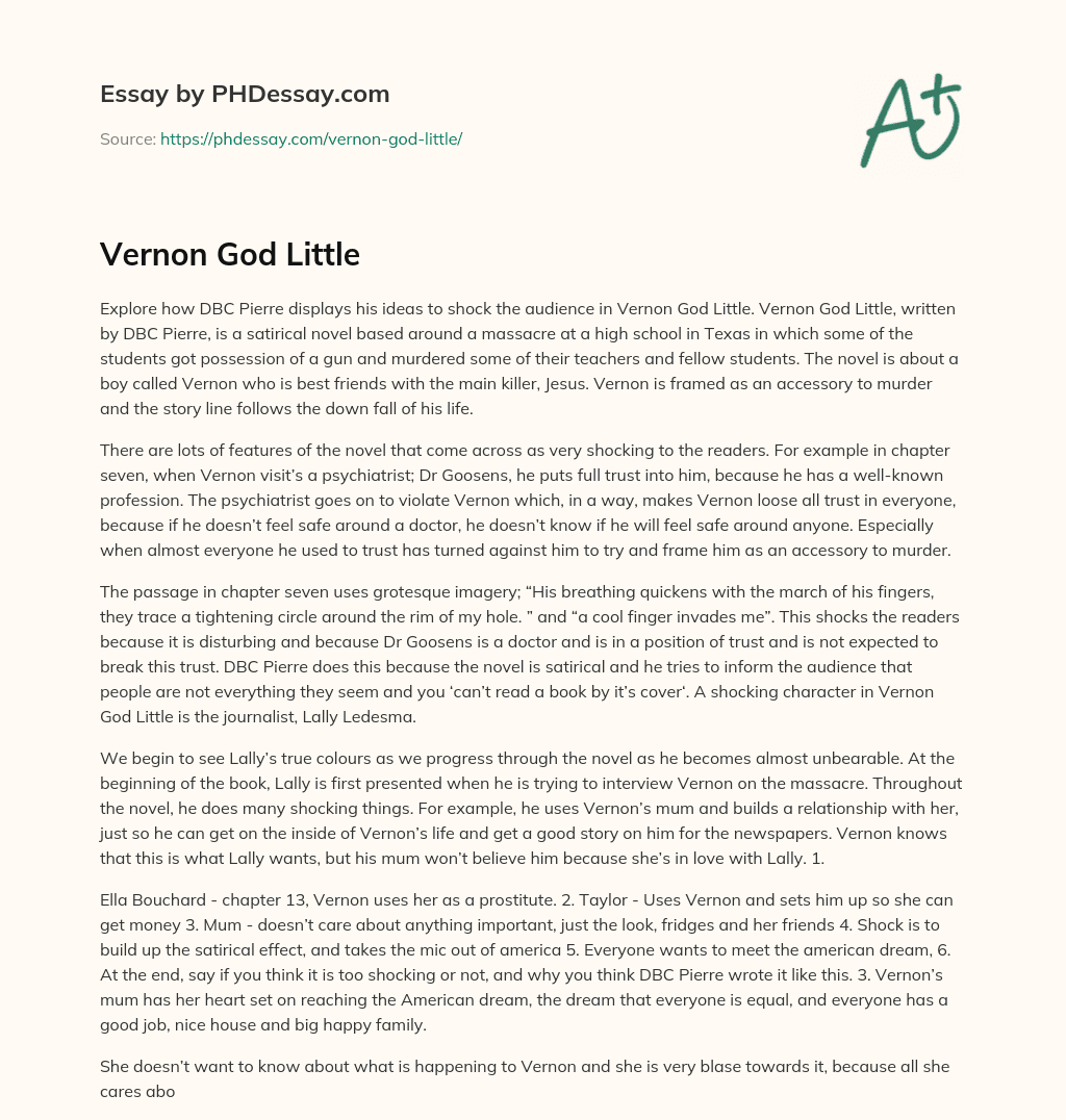 Vernon God Little essay