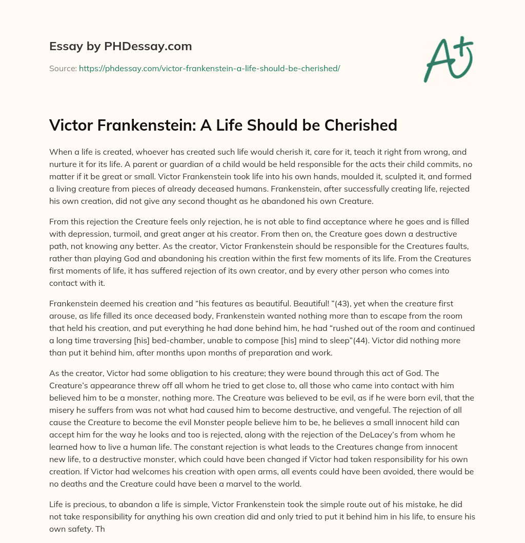Victor Frankenstein: A Life Should be Cherished essay
