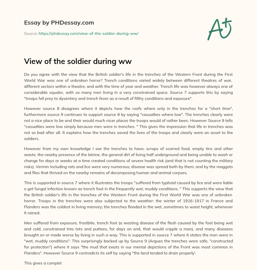 View of the soldier during ww essay