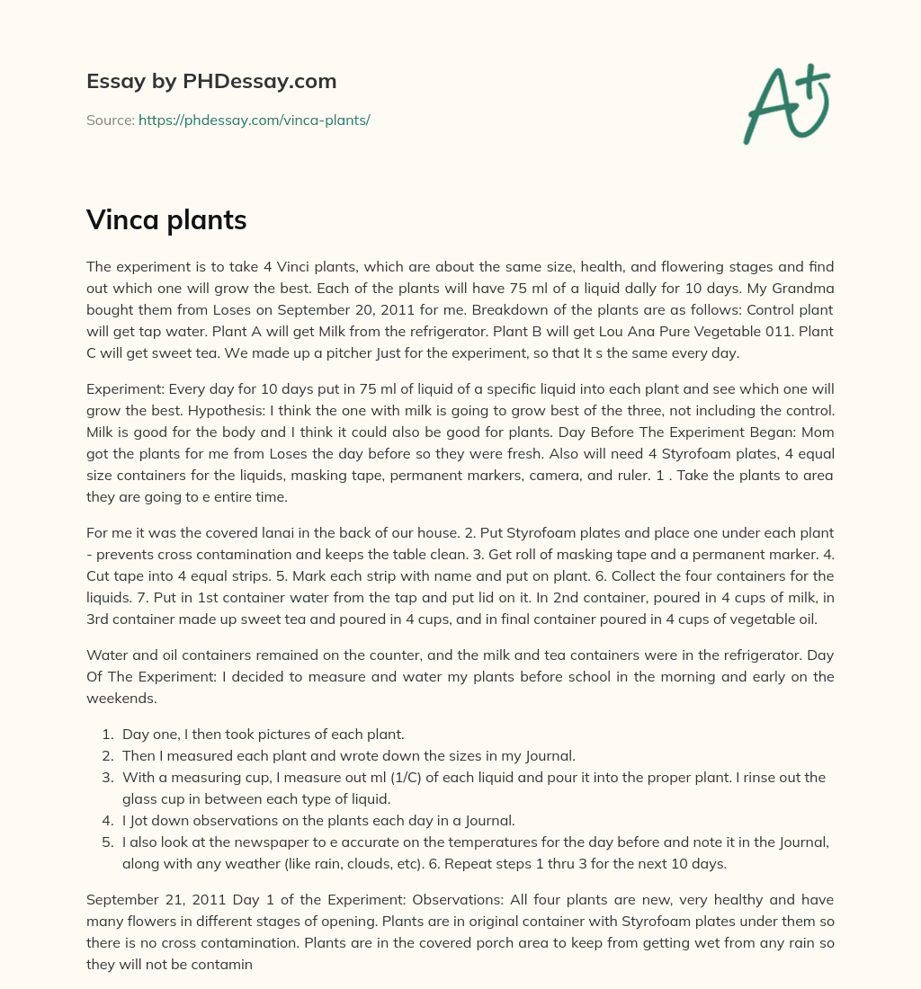 Vinca plants essay