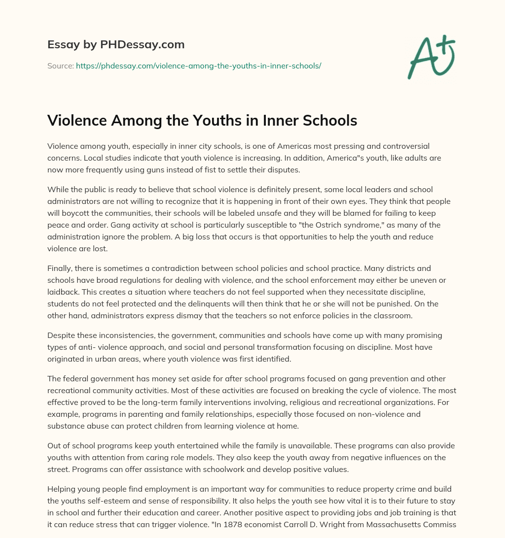 Violence Among the Youths in Inner Schools essay