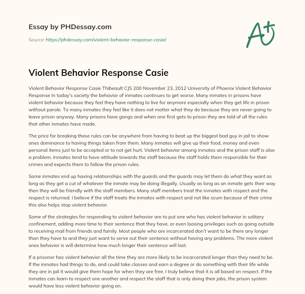 Violent Behavior Response Casie essay