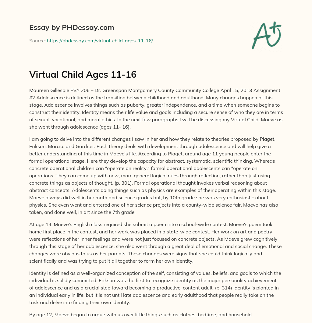 Virtual Child Ages 11-16 essay