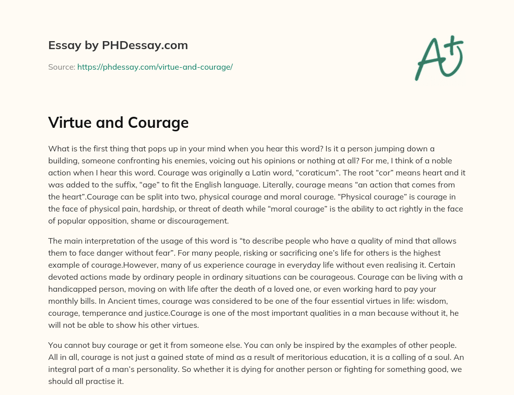 Virtue and Courage essay