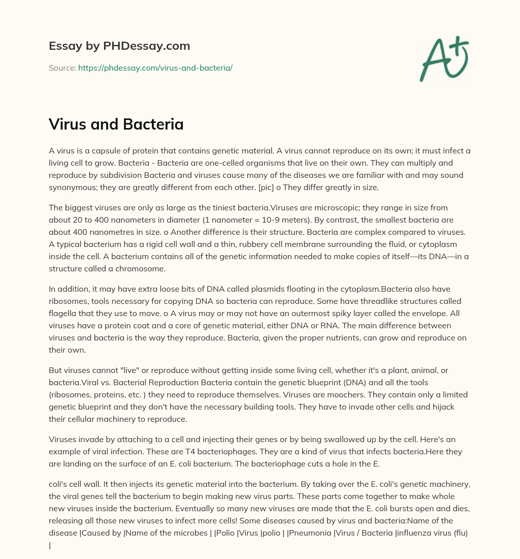 Virus and Bacteria essay