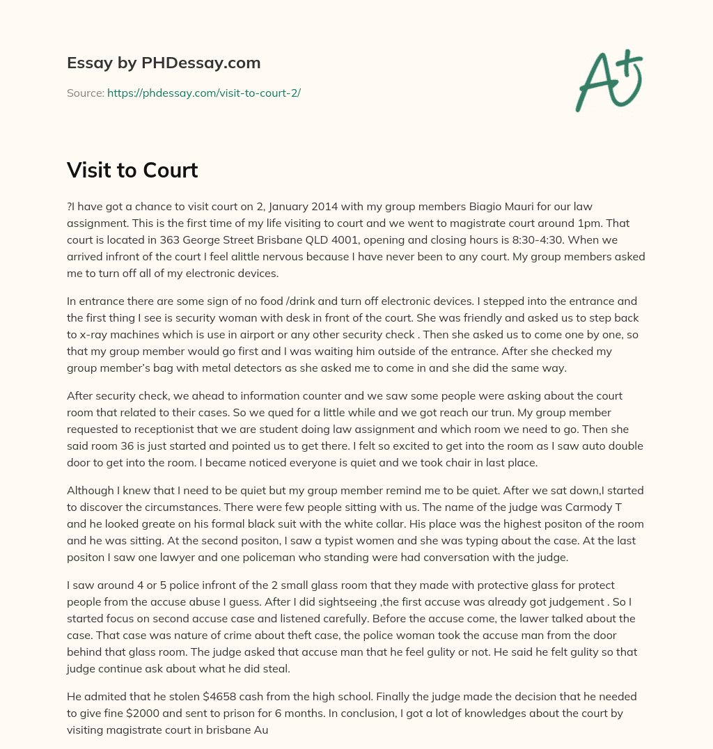 Visit to Court essay
