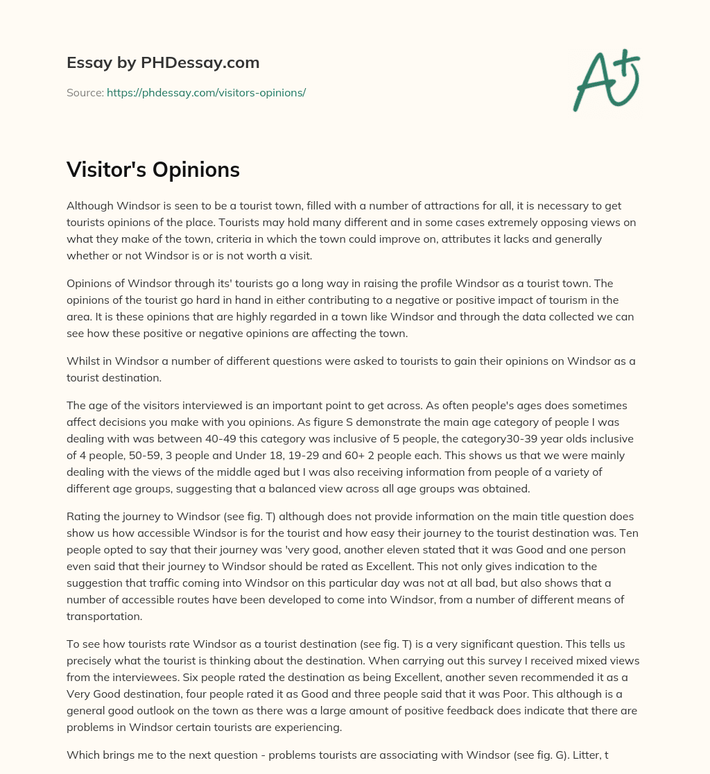 Visitor’s Opinions essay