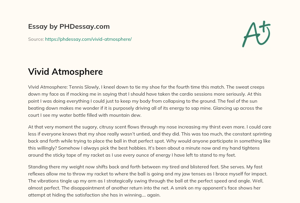 Vivid Atmosphere essay