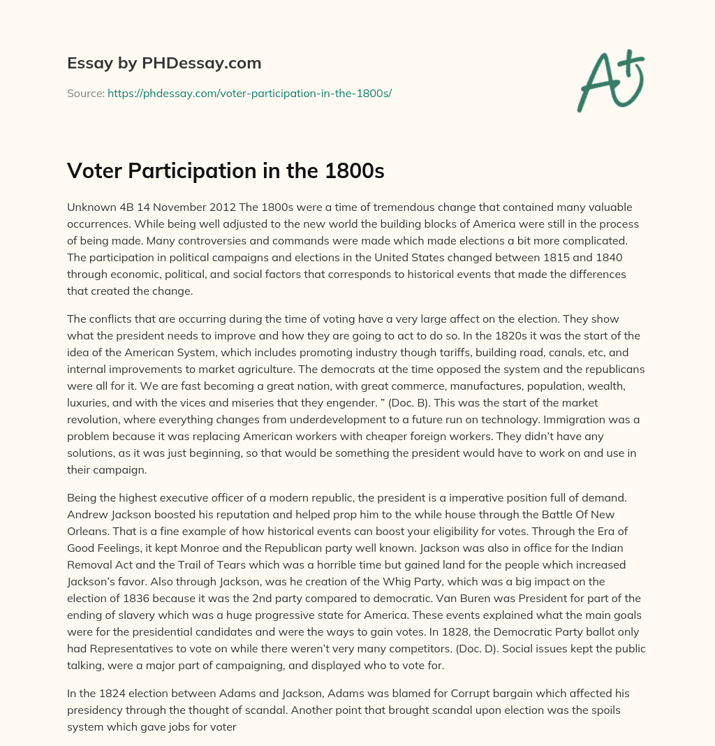 Voter Participation in the 1800s essay
