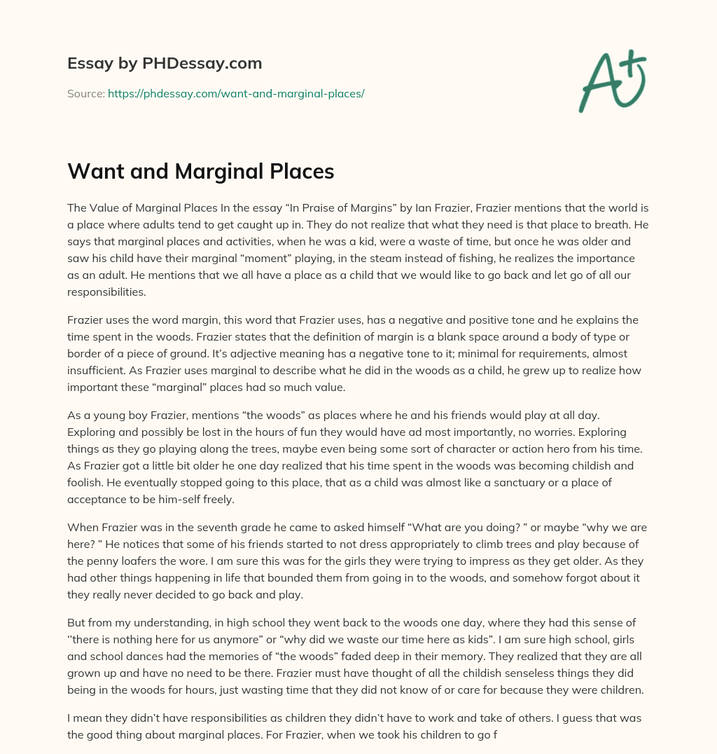 Want and Marginal Places essay