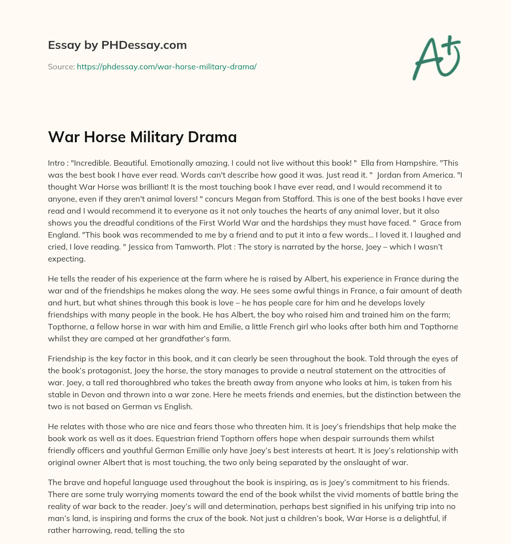 War Horse Military Drama essay