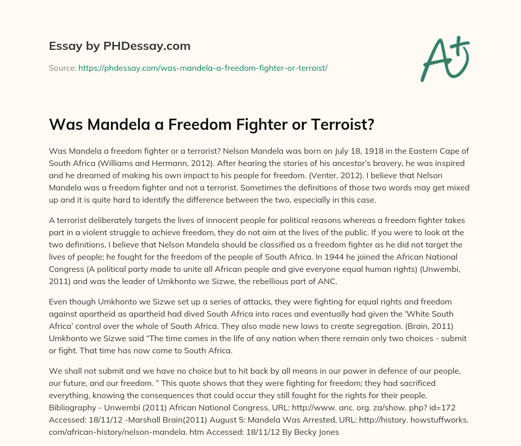 Was Mandela a Freedom Fighter or Terroist? essay
