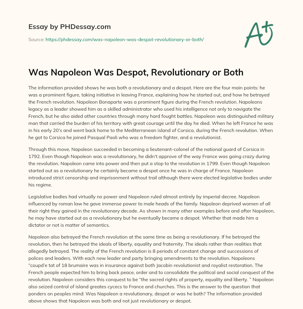 Was Napoleon Was Despot, Revolutionary or Both essay