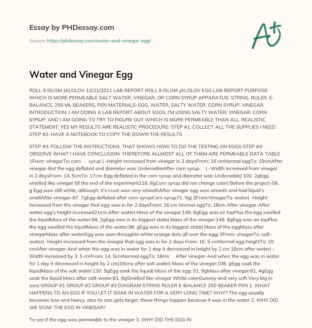 Water and Vinegar Egg essay