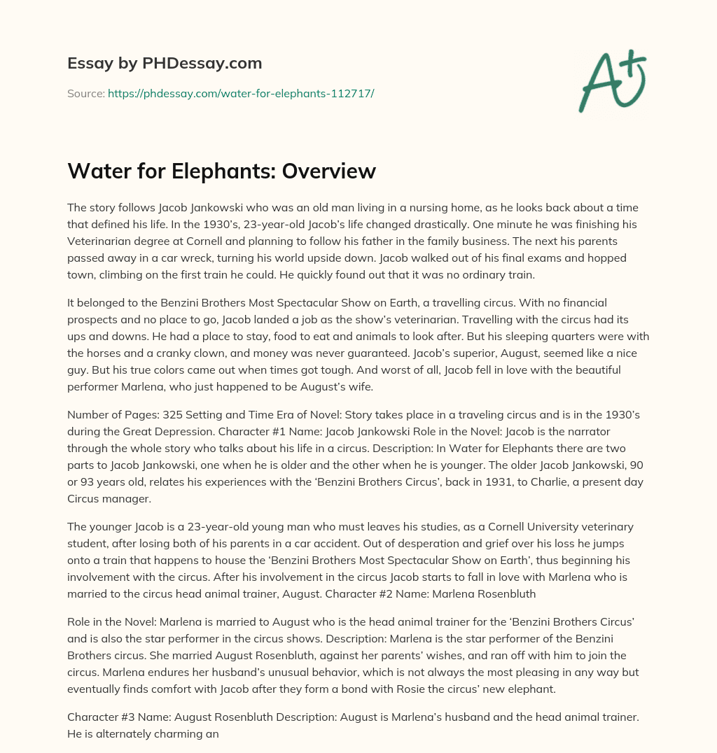 Water for Elephants: Overview essay