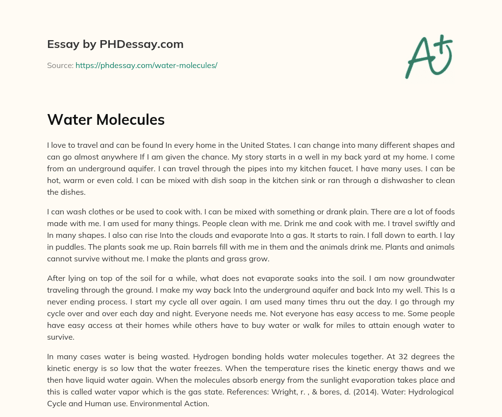 Water Molecules essay