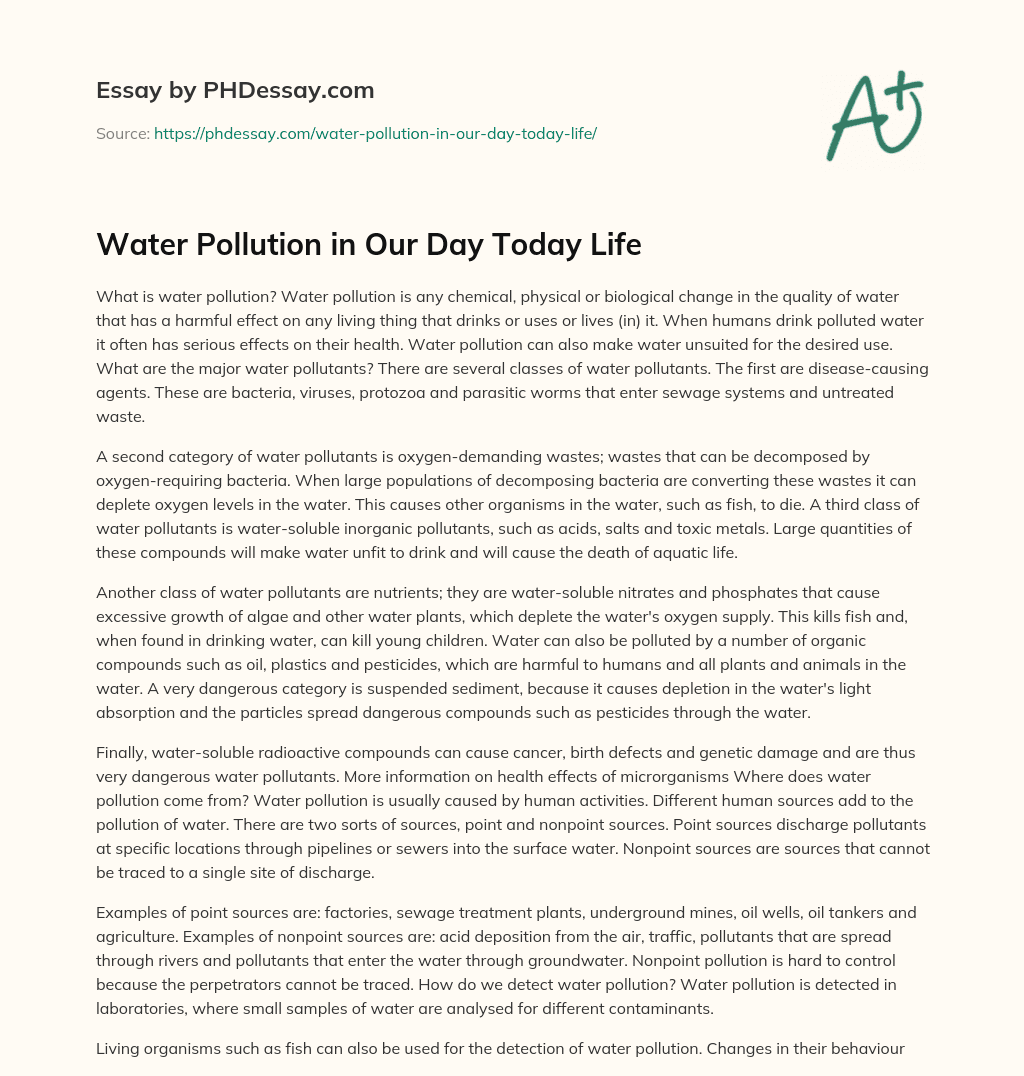 Water Pollution in Our Day Today Life essay