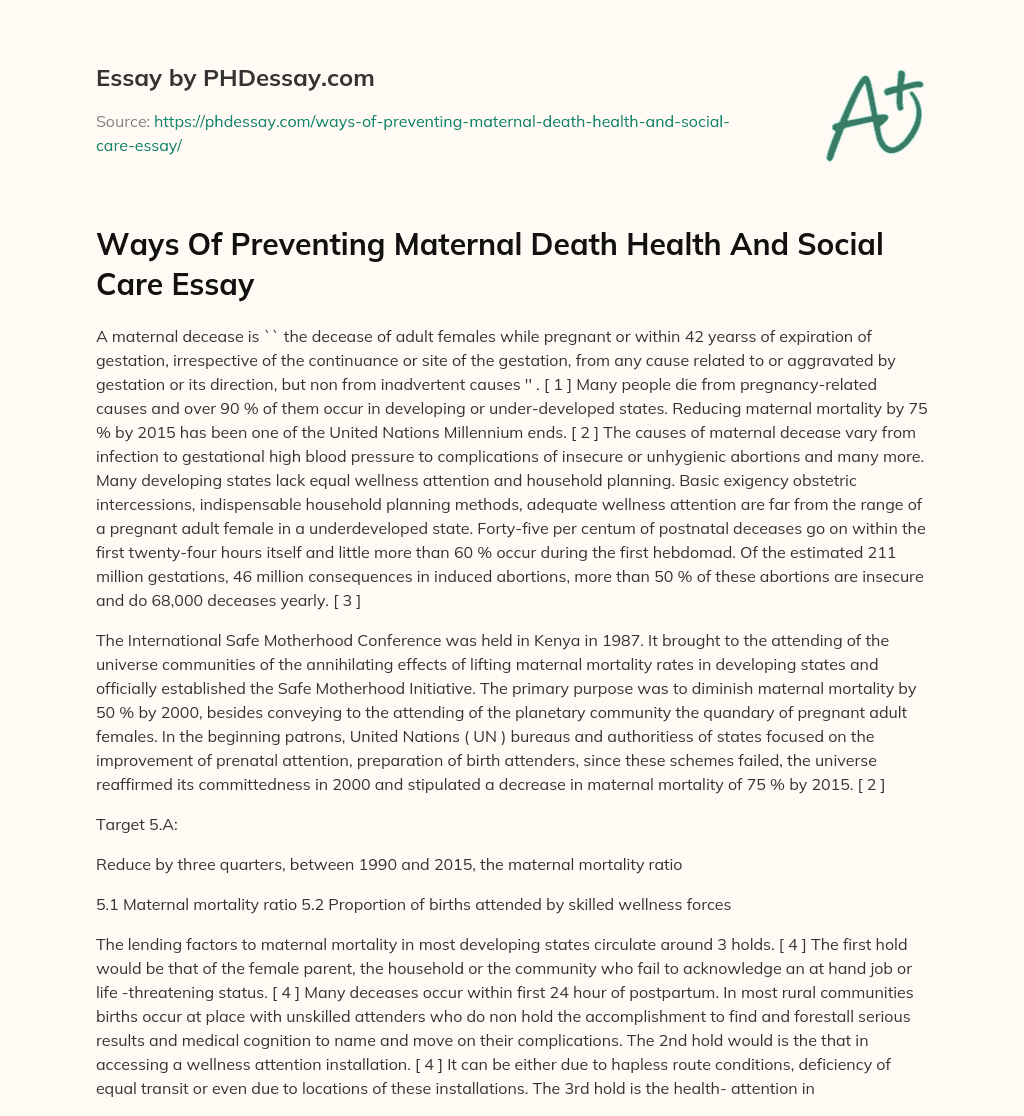 Ways Of Preventing Maternal Death Health And Social Care Essay essay