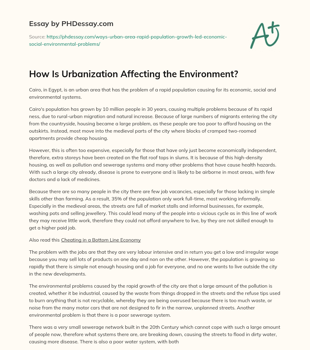 How Is Urbanization Affecting the Environment? essay