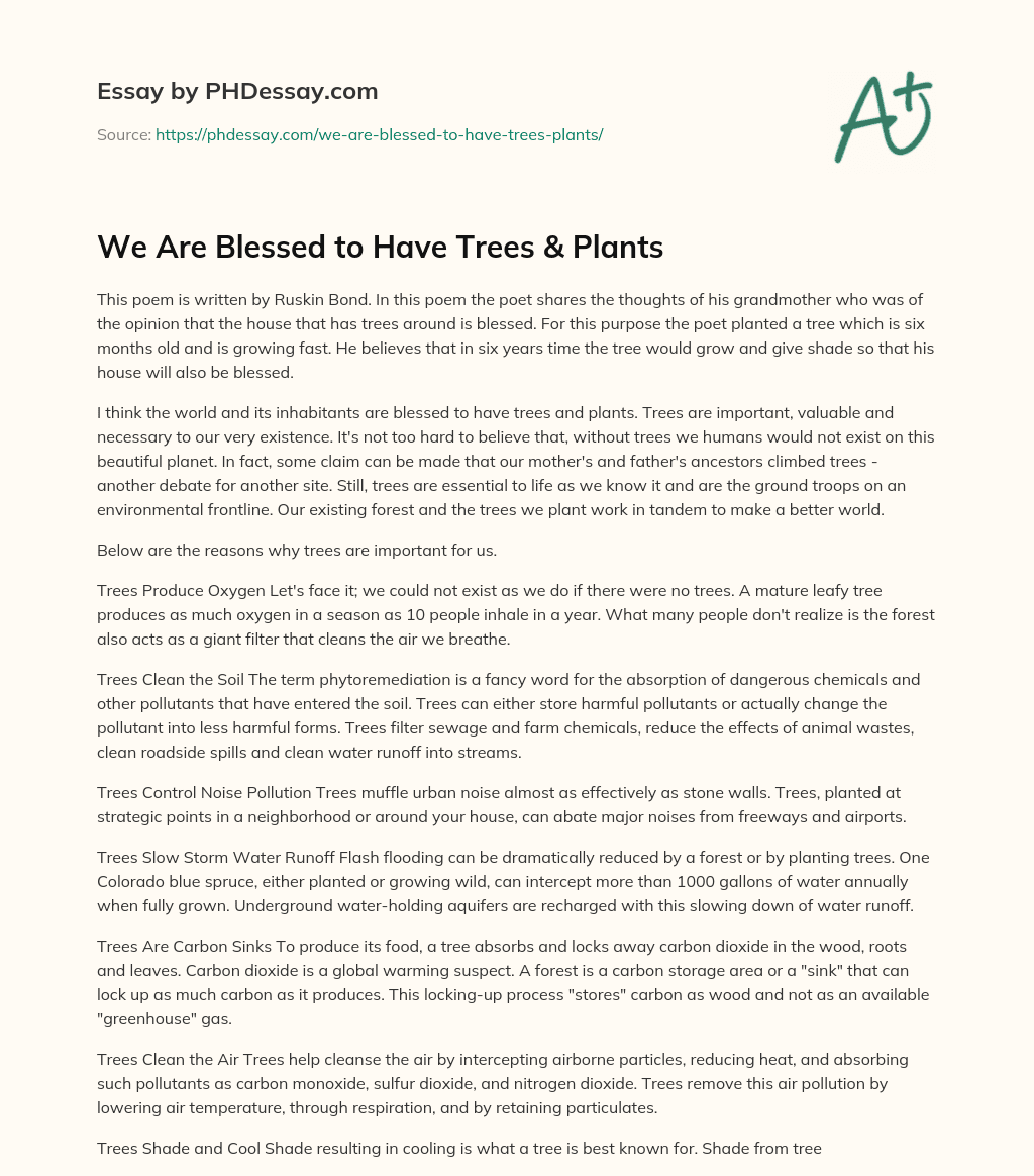 We Are Blessed to Have Trees & Plants essay