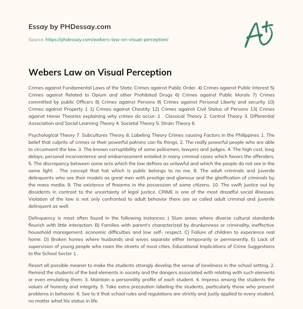 essay on visual perception