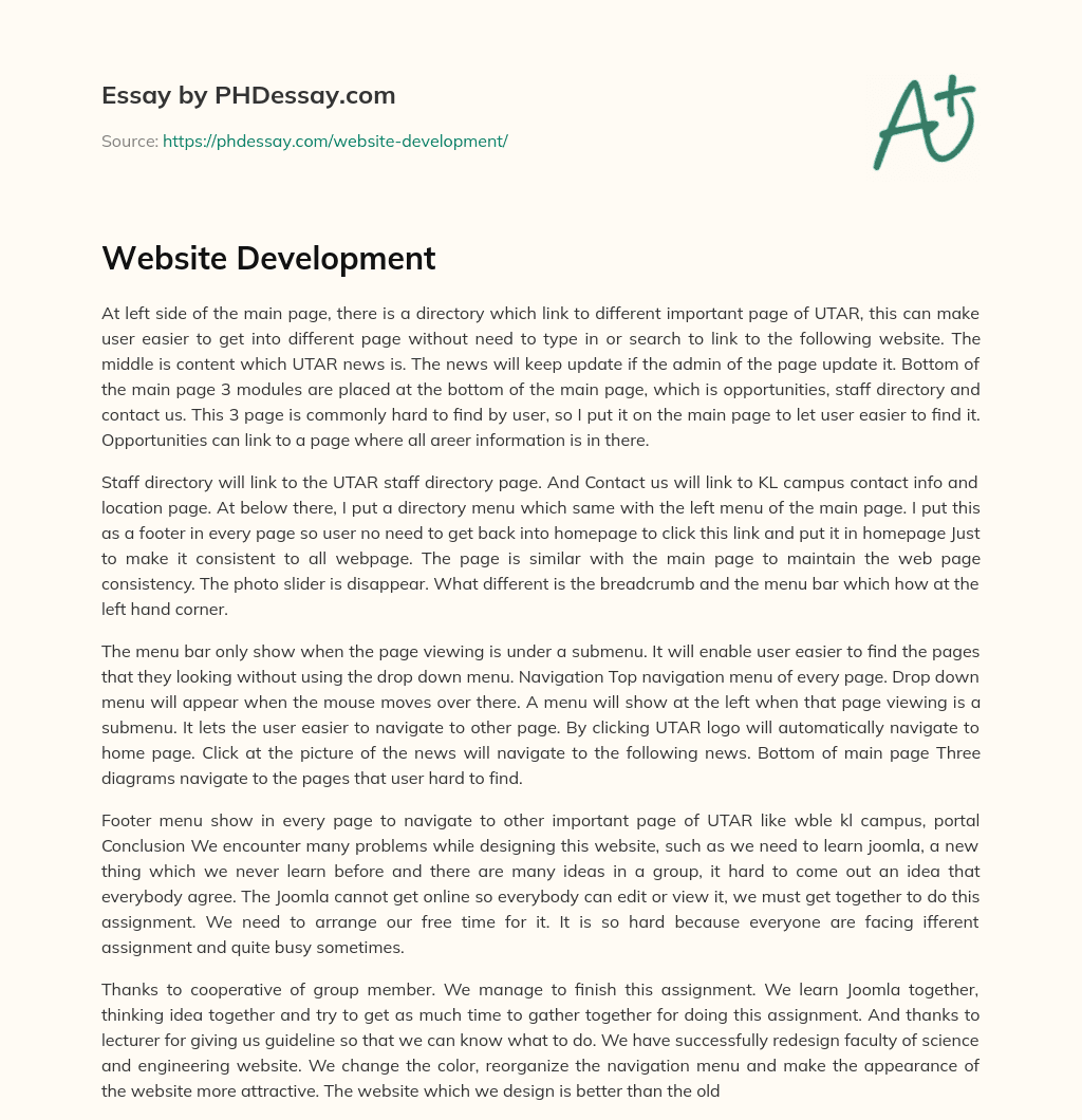 Website Development essay