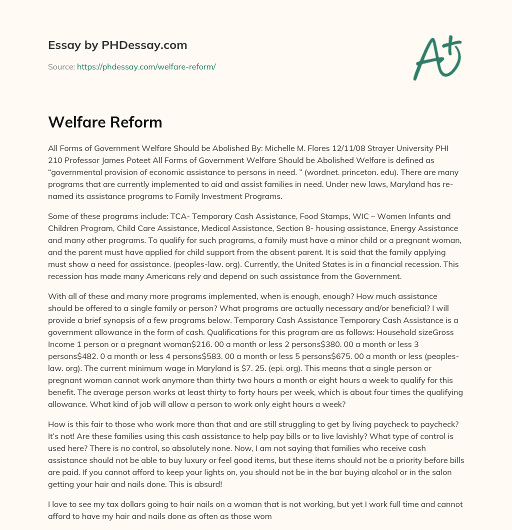 Welfare Reform essay