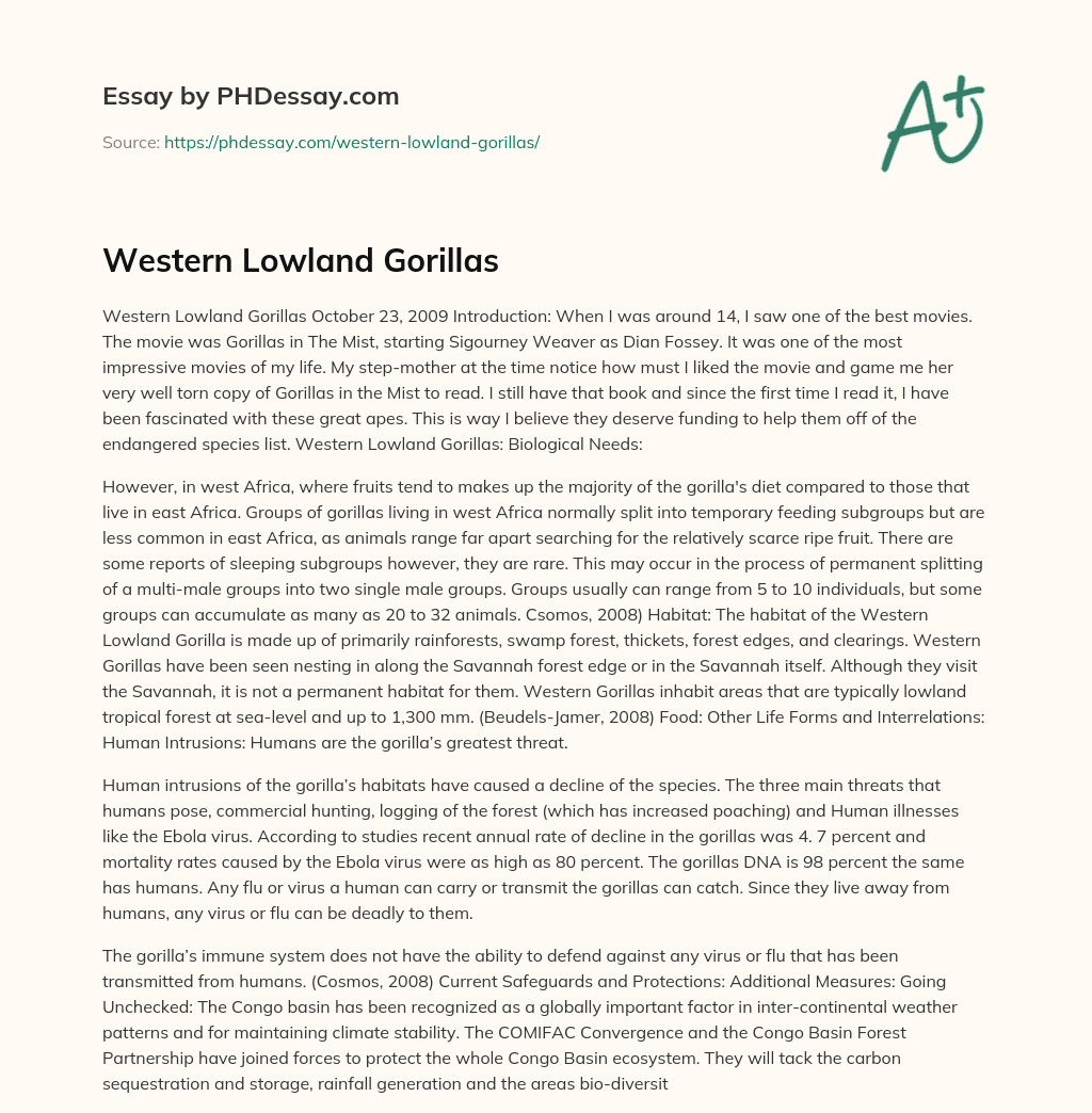 Western Lowland Gorillas essay