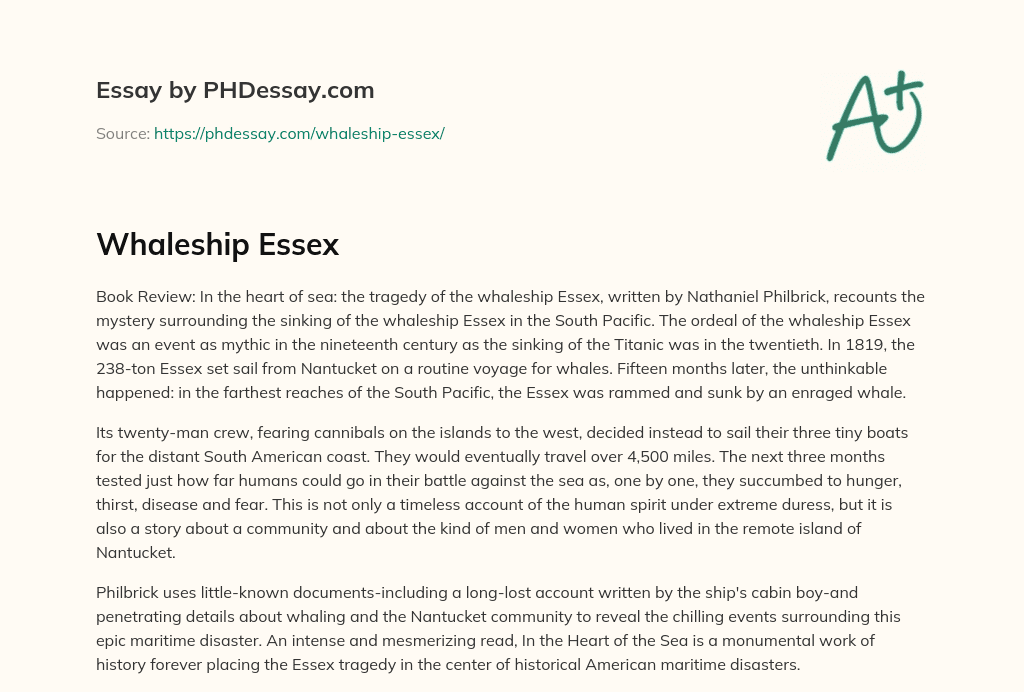 Whaleship Essex essay