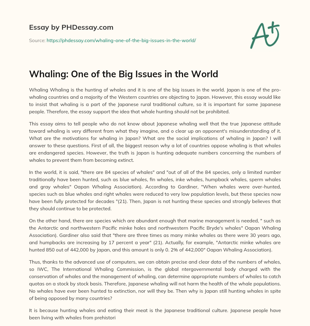 Whaling: One of the Big Issues in the World essay