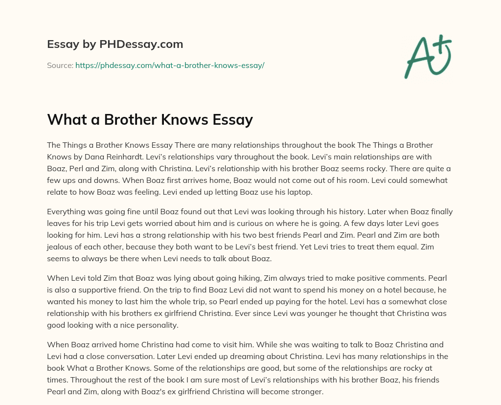 What a Brother Knows Essay essay