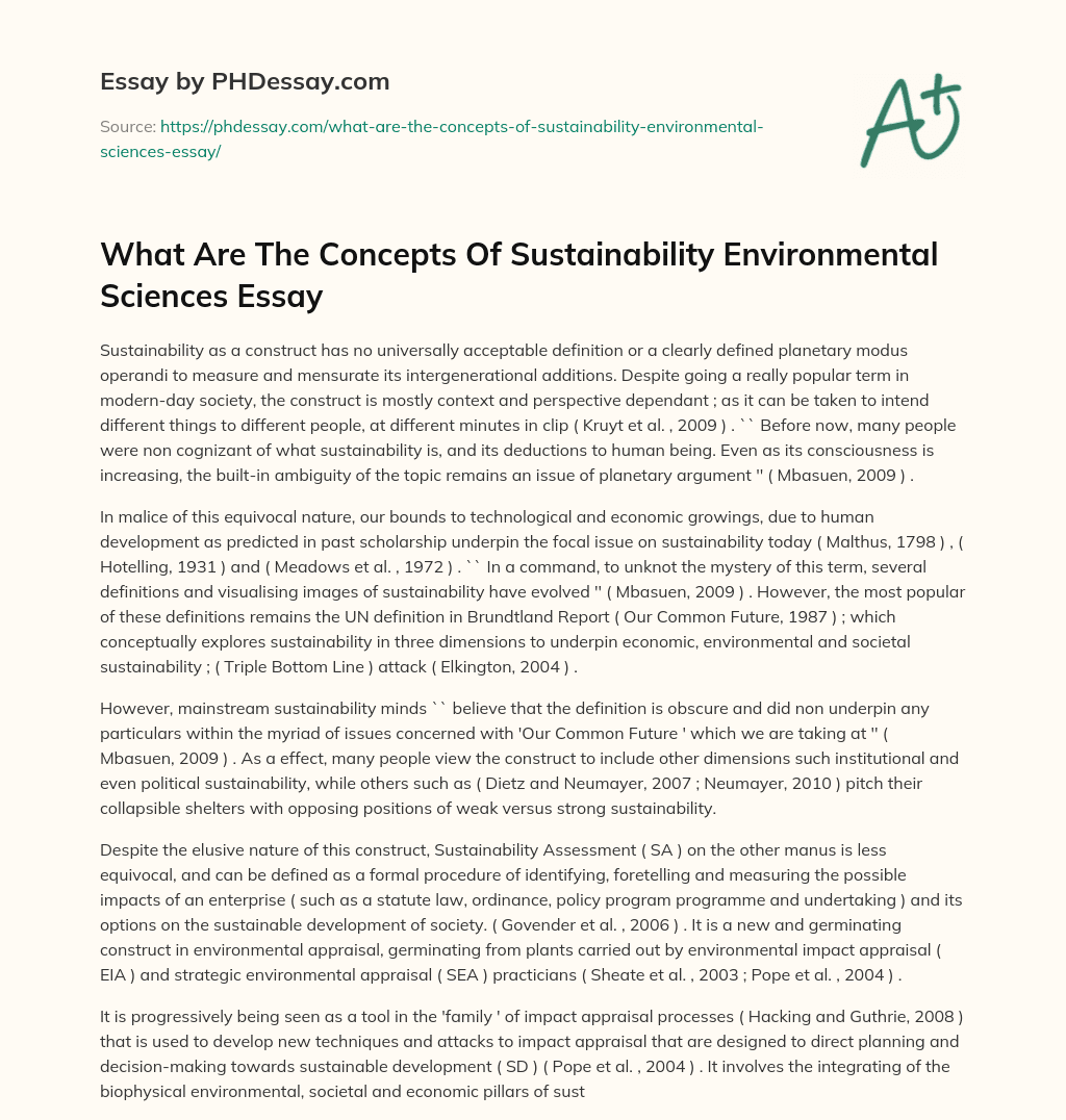 essay on environment sustainability