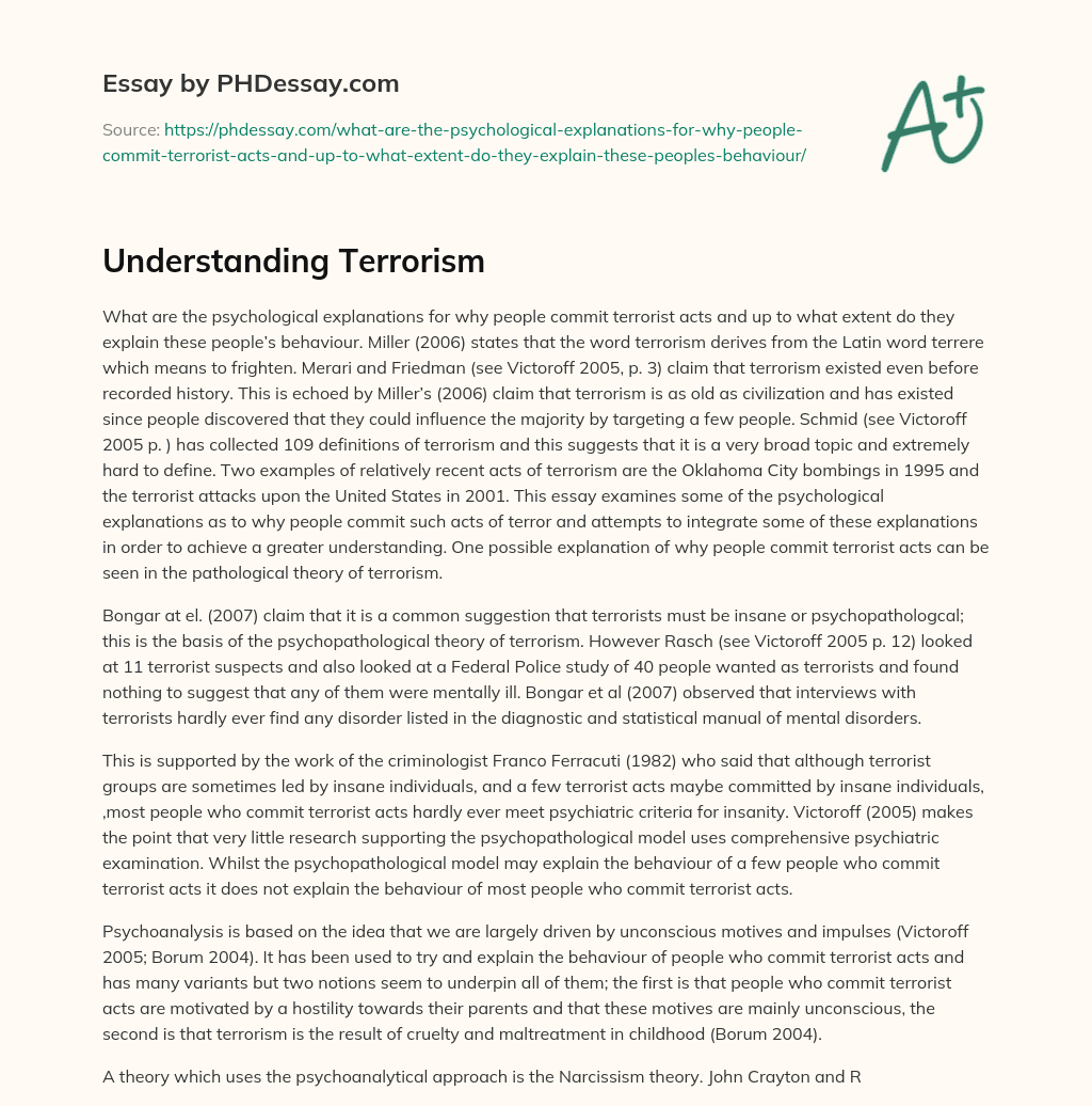 Understanding Terrorism essay