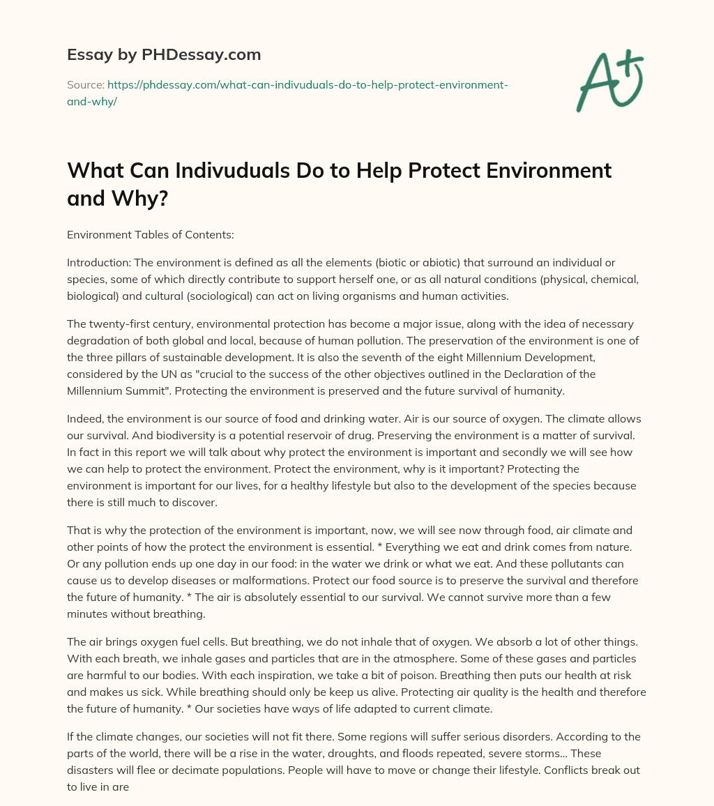 What Can Indivuduals Do to Help Protect Environment and Why? essay