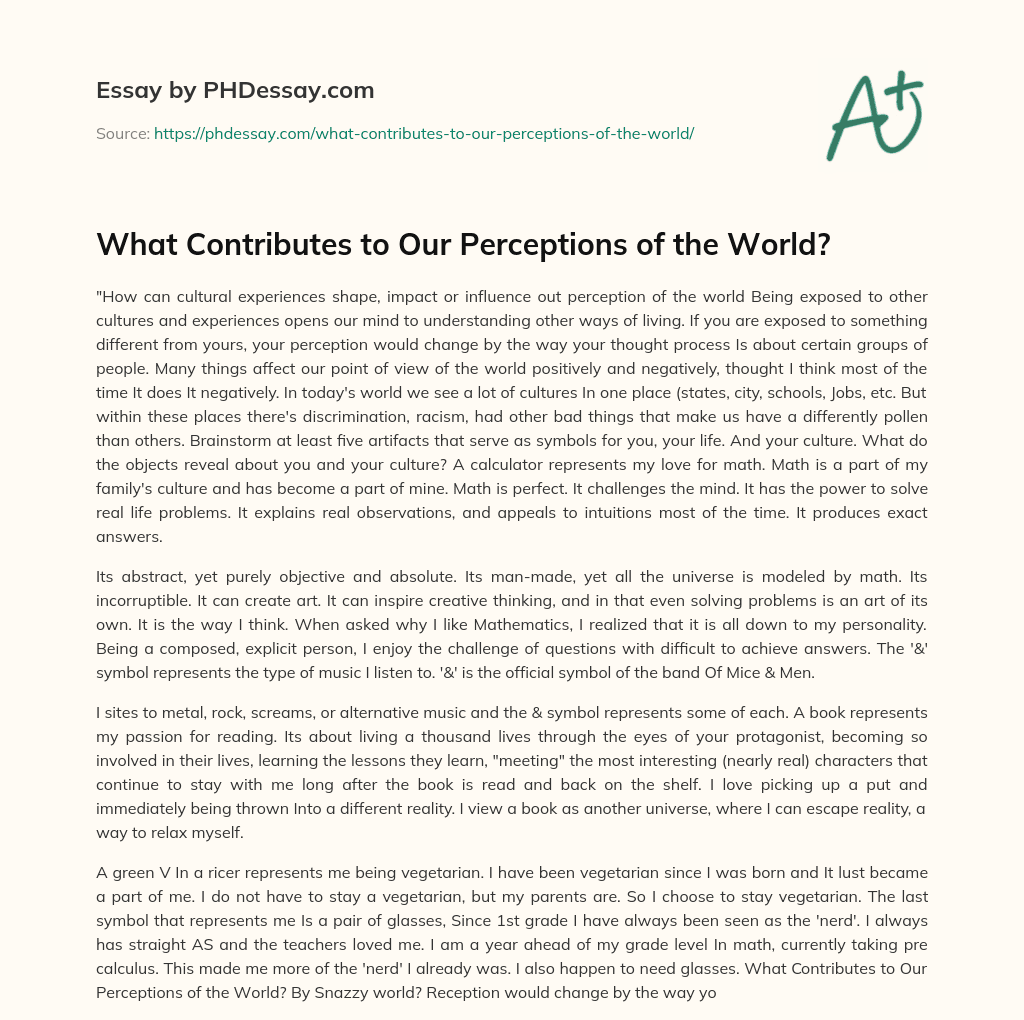 What Contributes to Our Perceptions of the World? essay