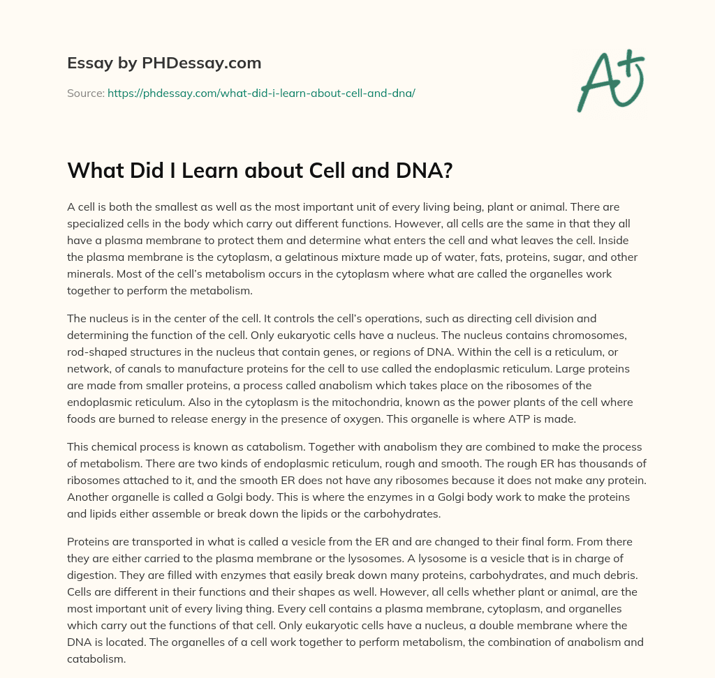 What Did I Learn about Cell and DNA? essay