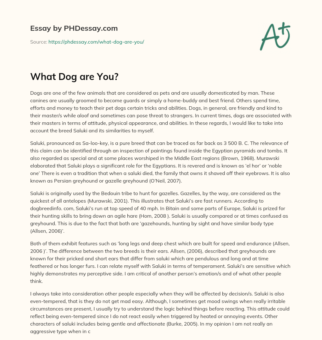 What Dog are You? essay