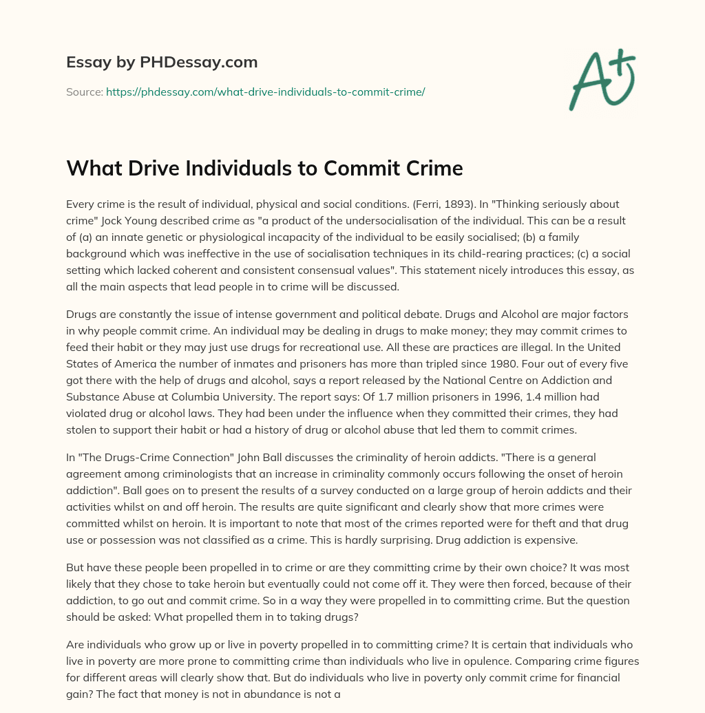 What Drive Individuals to Commit Crime essay