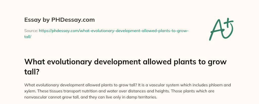 What evolutionary development allowed plants to grow tall? essay