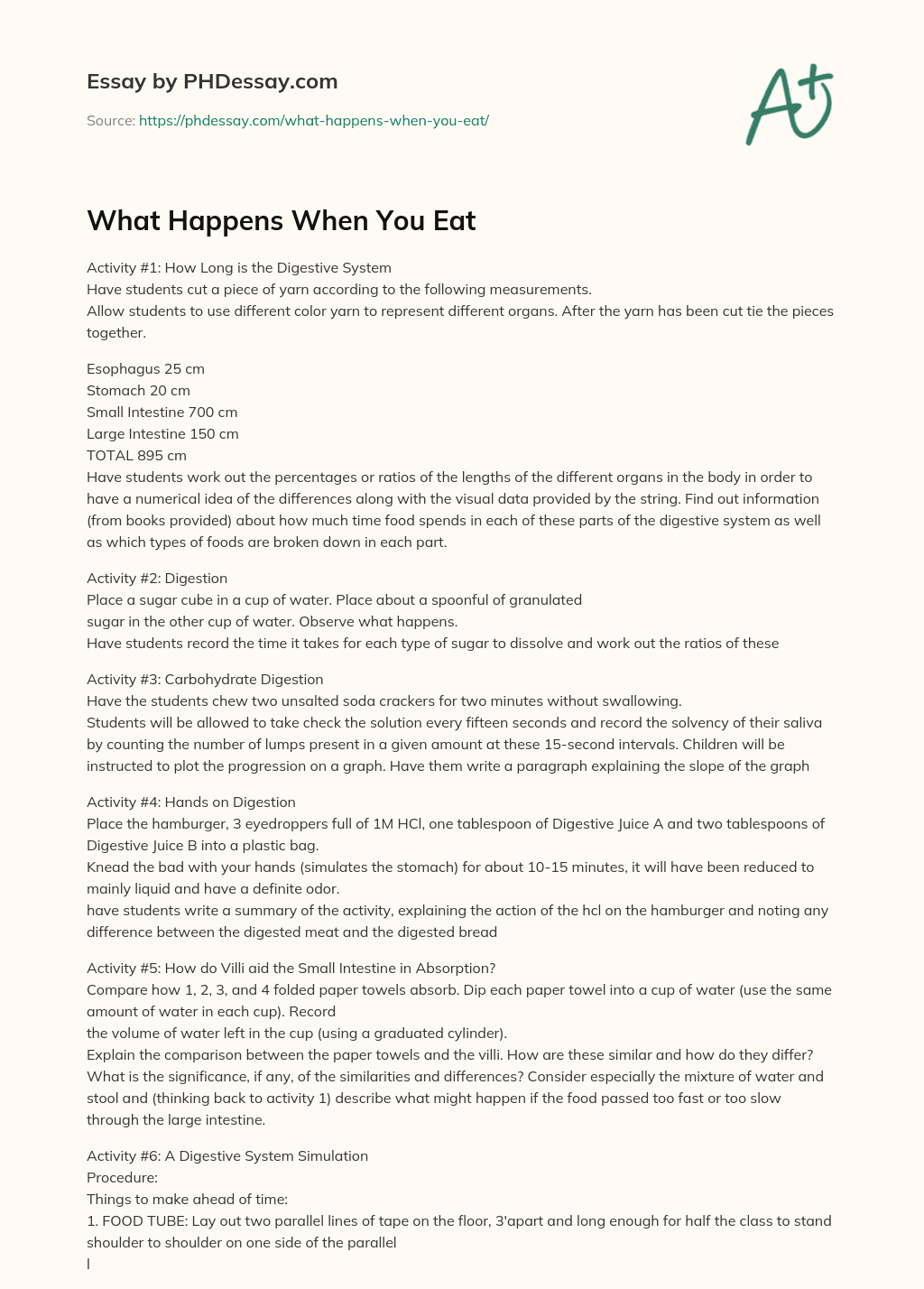 What Happens When You Eat essay