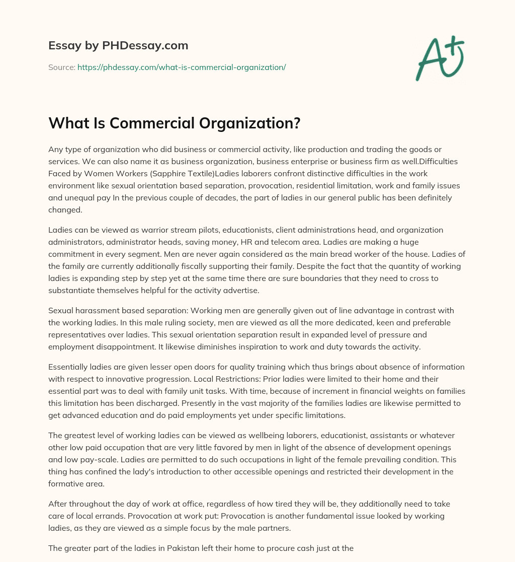 What Is Commercial Organization? essay