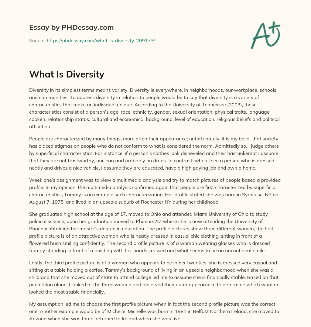 diversity essay sample pdf
