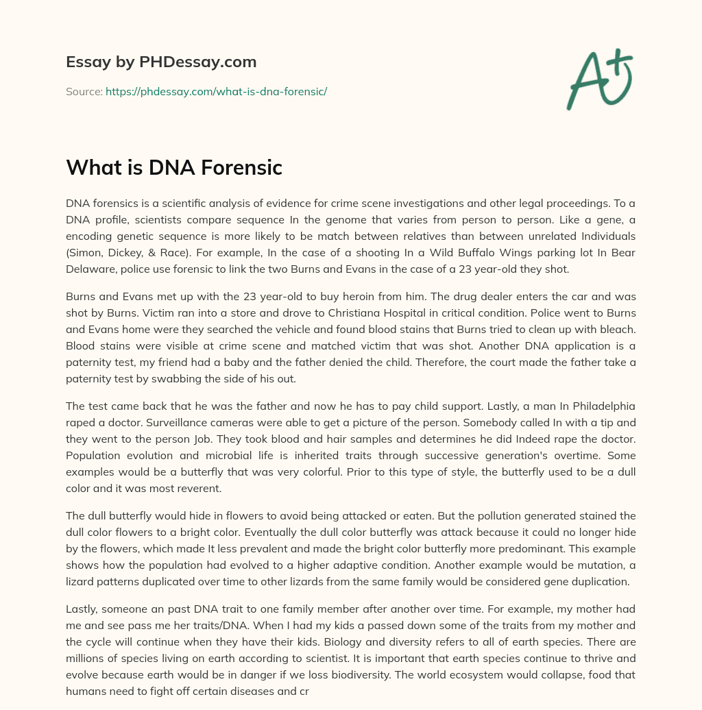 What is DNA Forensic essay