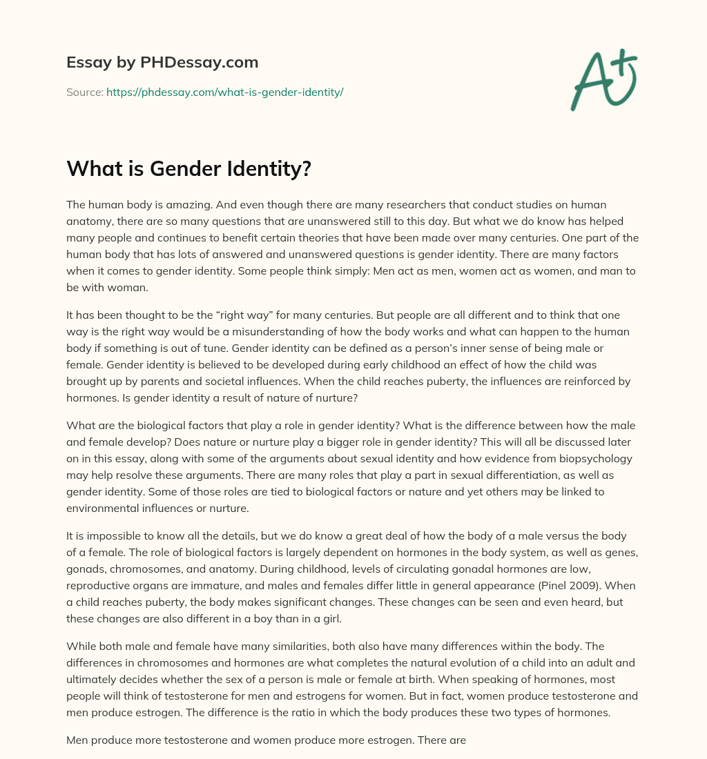 What is Gender Identity? essay