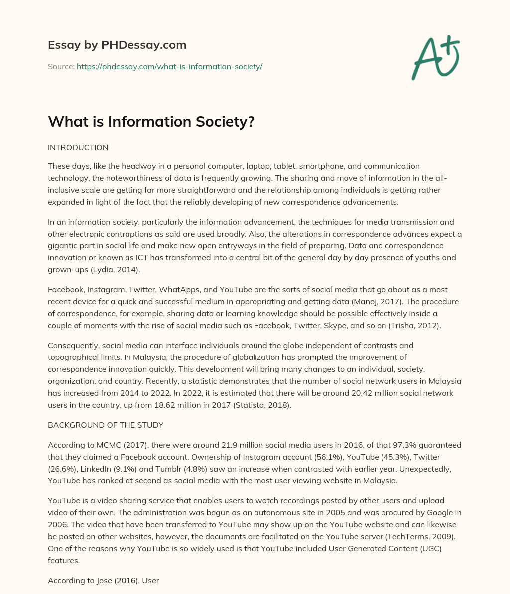 What is Information Society? essay